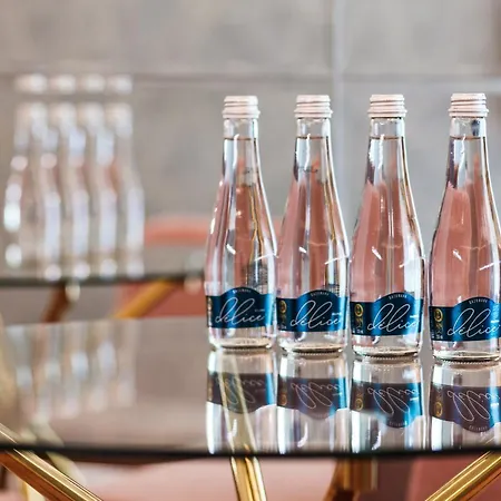 Baltic Amber Appartement Stegna (Pomerania)